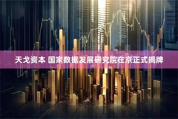 天戈资本 国家数据发展研究院在京正式揭牌