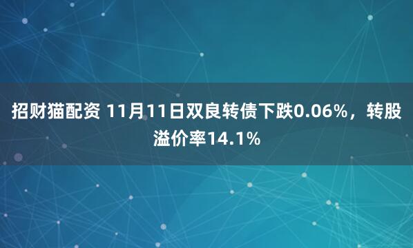 招财猫配资 11月11日双良转债下跌0.06%，转股溢价率14.1%