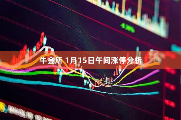 牛金所 1月15日午间涨停分析